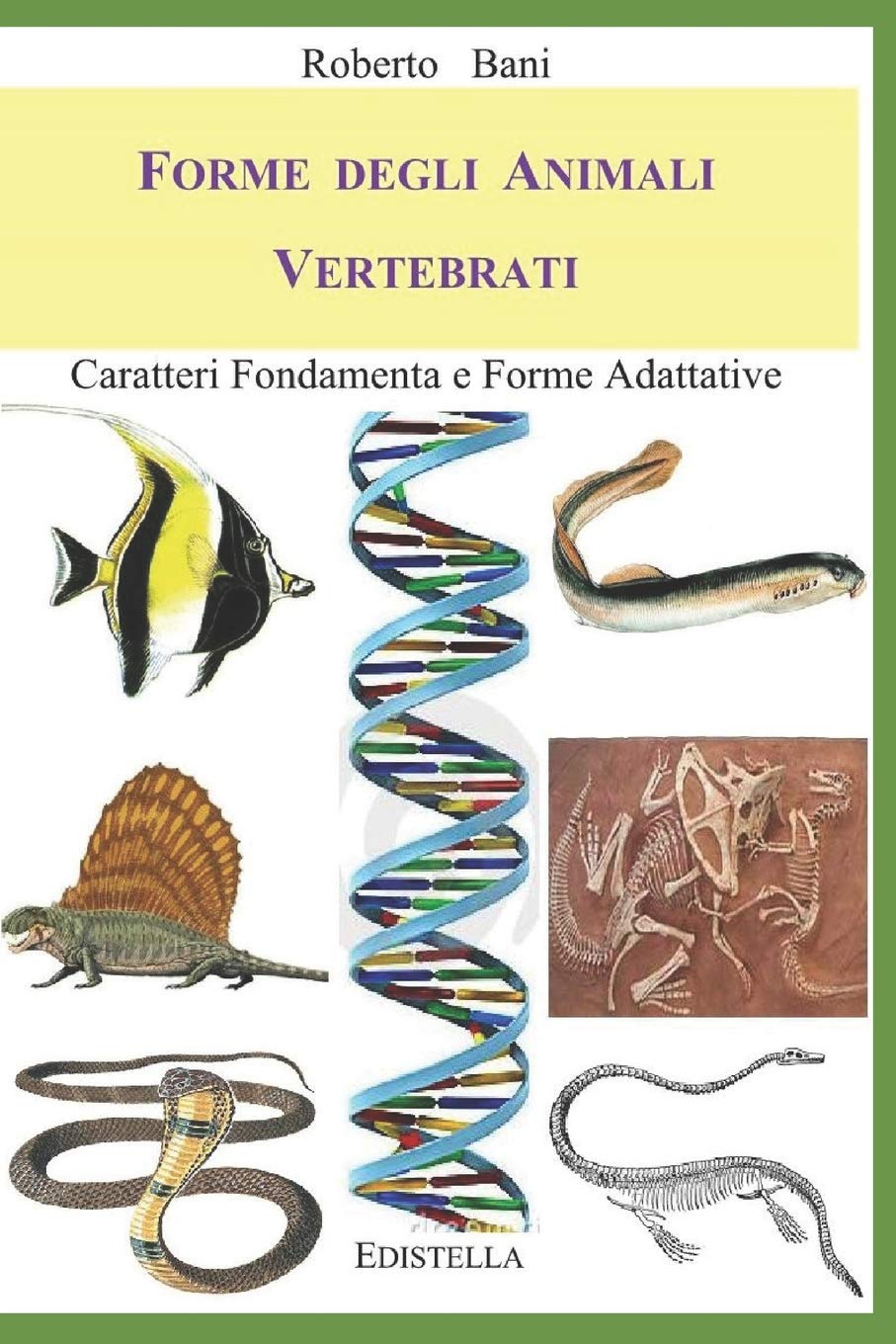Forme degli Animali Vertebrati: Caratteri Fondamenta e Forme Adattative (Zoomorfo, Band 3) Learning & Reference