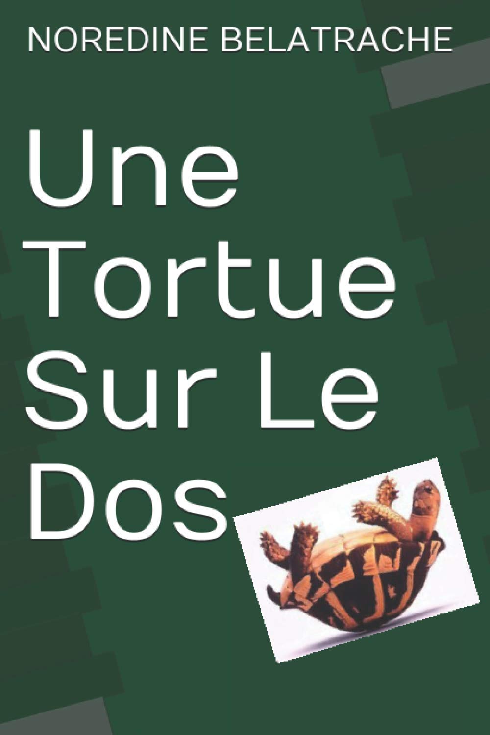 Une Tortue Sur Le Dos Humour & Satire