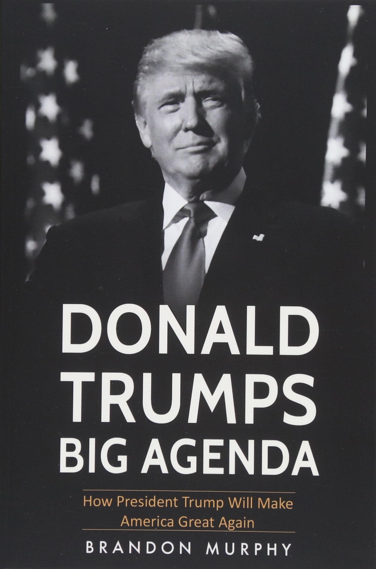 Donald Trumps Big Agenda: How President Trump Will Make America Great Again Social Sciences