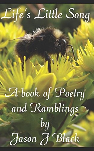 Life's Little Song: A Book of Poetry and Ramblings Poetry