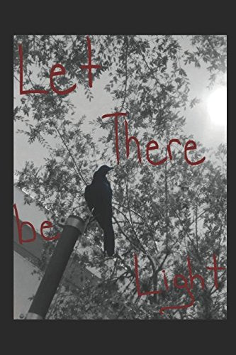 Let There be Light (Menagerie and The Veil, Band 0) LGBTQ+