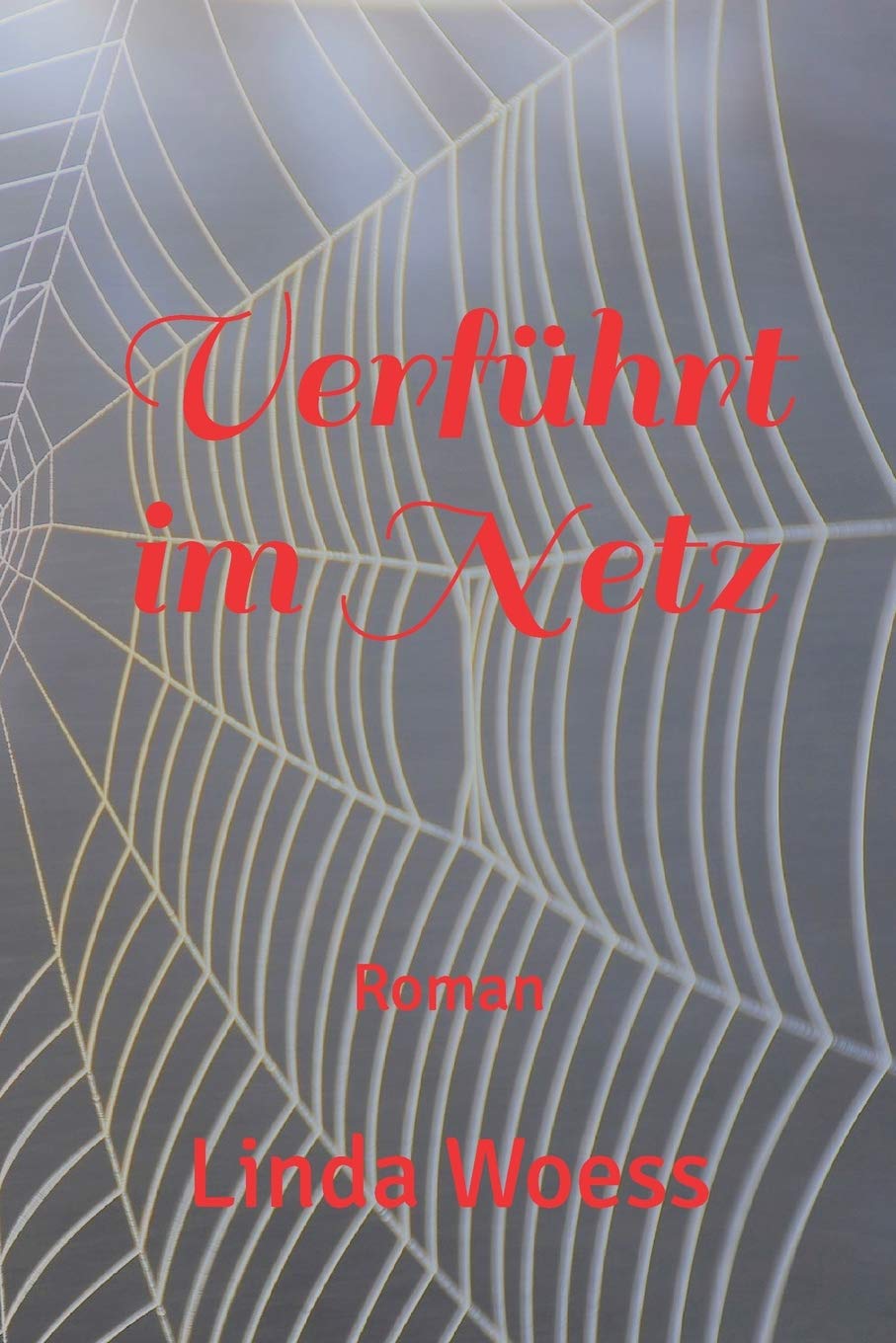 Verführt im Netz: Roman Contemporary literature