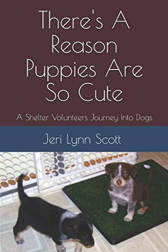 THERE'S A REASON PUPPIES ARE SO CUTE: A Shelter Volunteer's Journey Into Dogs (Rescue Dogs, Band 2) Mathematics
