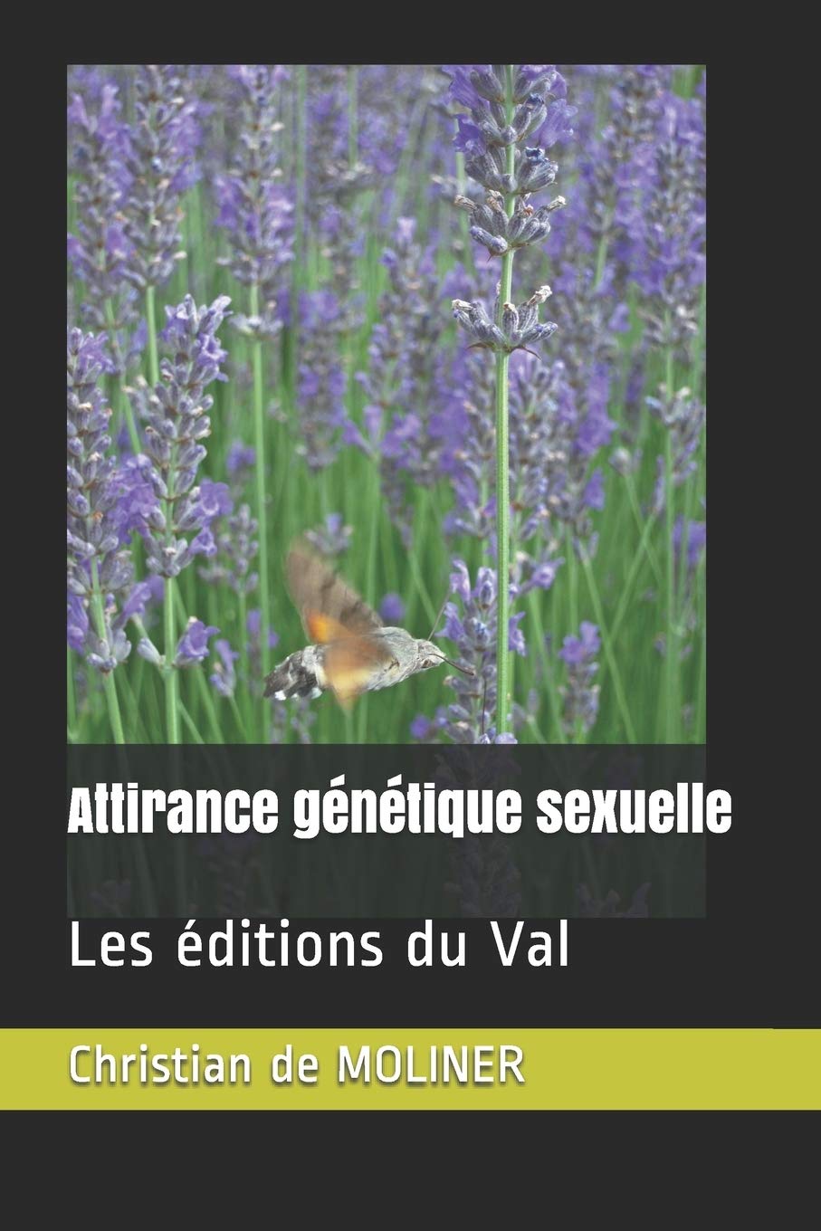 Attirance génétique sexuelle: Les éditions du Val Contemporary literature