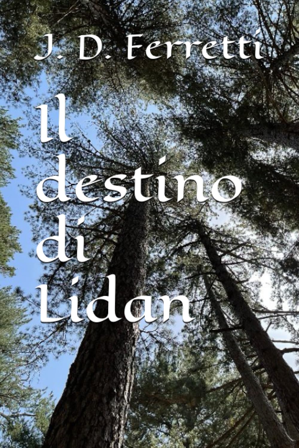 Product Image: Il destino di Lidan