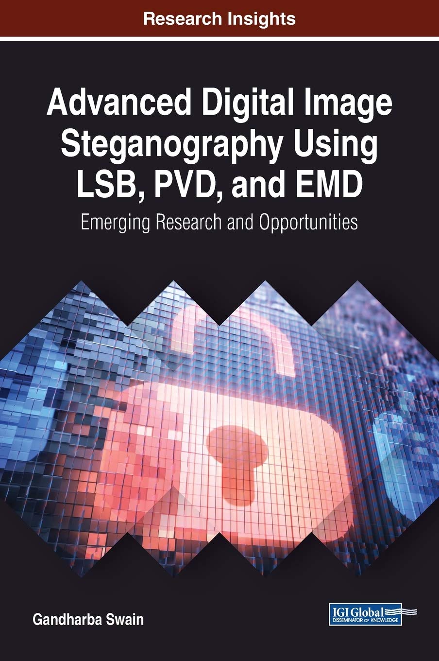 Advanced Digital Image Steganography Using LSB, PVD, and EMD: Emerging Research and Opportunities (Advances in Information Security, Privacy, and Ethics) Computer Science