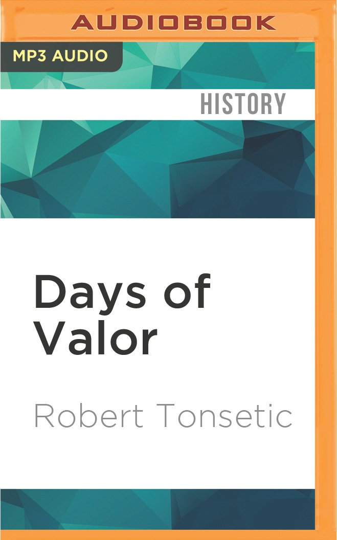 Days of Valor: An Inside Account of the Bloodiest Six Months of the Vietnam War Social Sciences