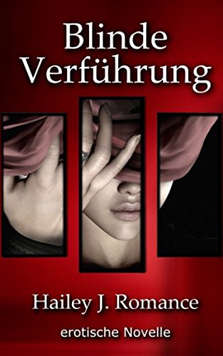 Blinde Verführung: erotische Novelle book