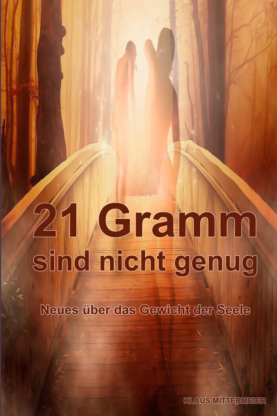 21 Gramm sind nicht genug: Das wahre Gewicht der Seele Medicine