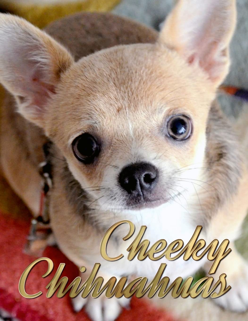 Cheeky Chihuahuas (Dogs and Puppies Picture & Coloring Books, Band 12) Pets