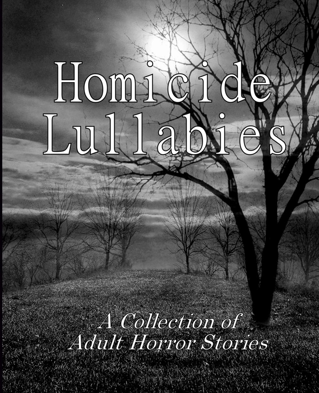 Homicide Lullabies: A Collection of Adult Horror Stories book