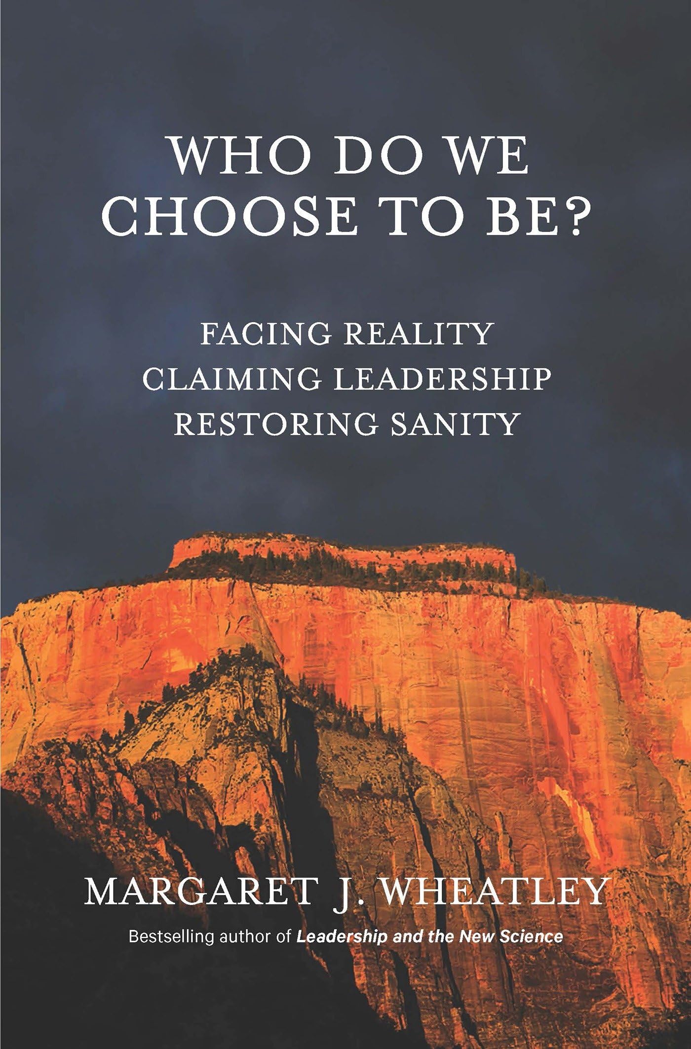 Who Do We Choose To Be?: Facing Reality, Claiming Leadership, Restoring Sanity Business, Finance & Career