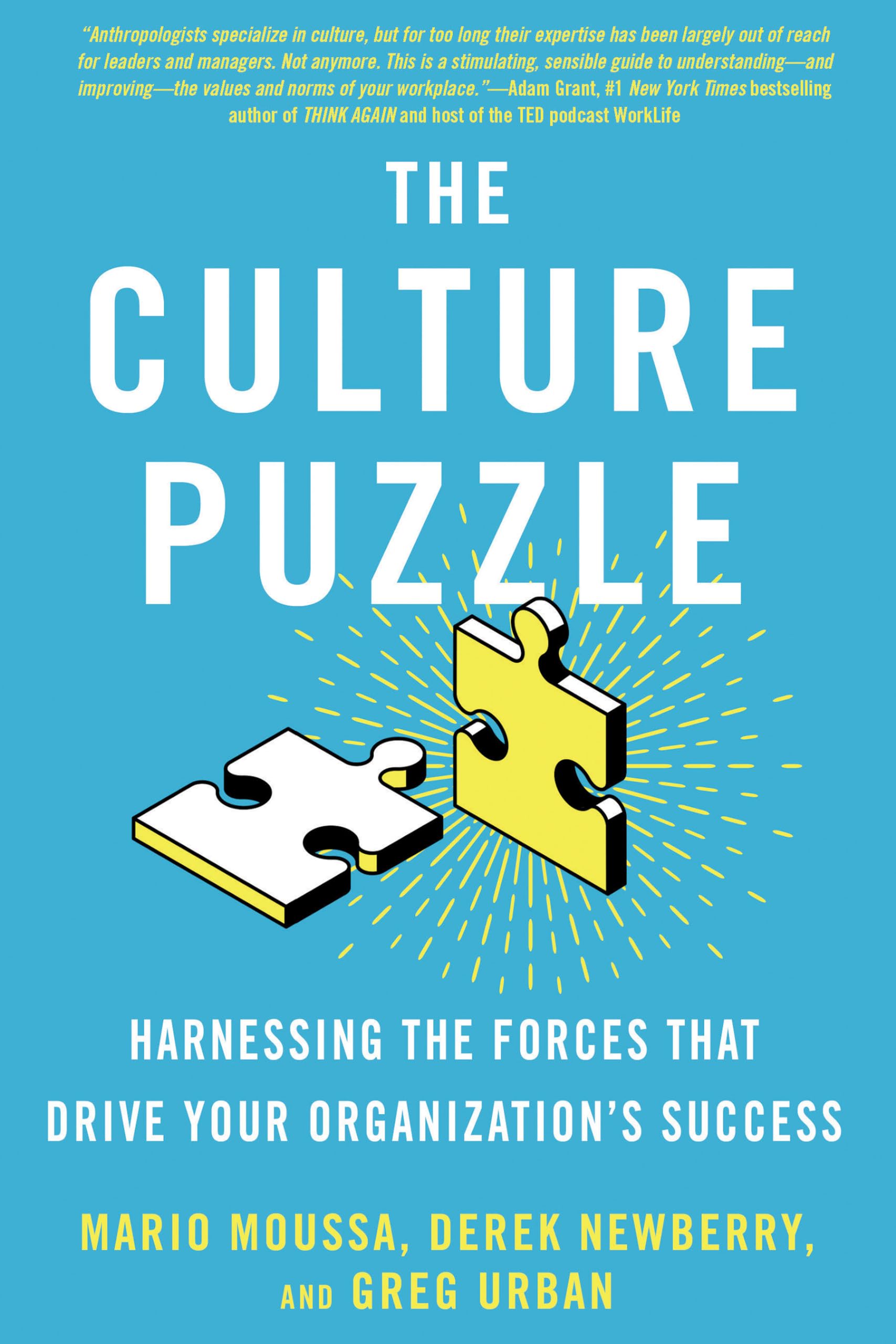 The Culture Puzzle: Harnessing the Forces That Drive Your Organization's Success Law