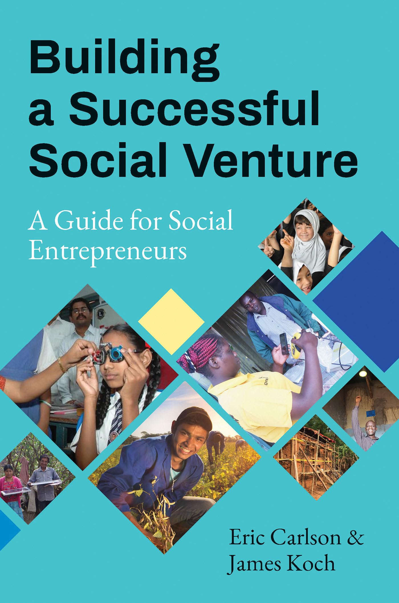 Building a Successful Social Venture: A Guide for Social Entrepreneurs Business, Finance & Career
