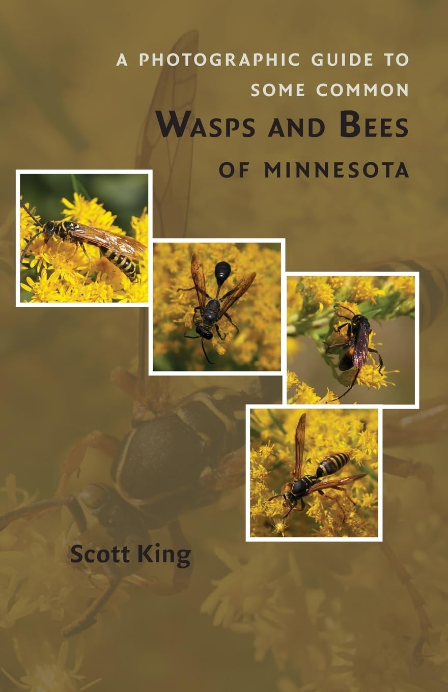A Photographic Guide to Some Common Wasps and Bees of Minnesota Mathematics