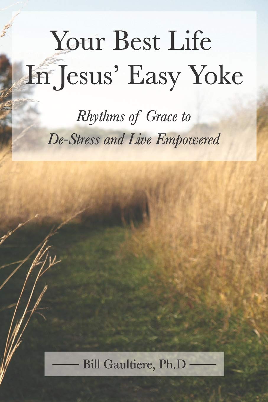 Your Best Life In Jesus' Easy Yoke: Rhythms of Grace to De-Stress and Live Empowered Religion & Esotericism