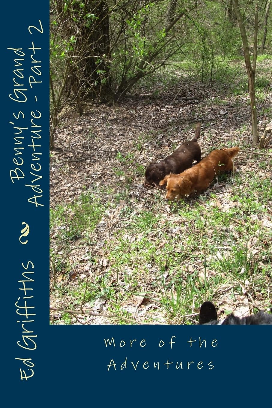 Benny's Grand Adventure - Part 2: More of the Adventures (The Adventurers, Band 2) Novels & Short Stories