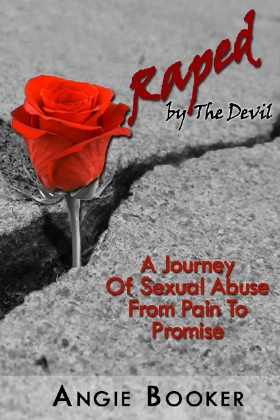 Raped By The Devil: A Spiritual Journey From Pain To Promise book