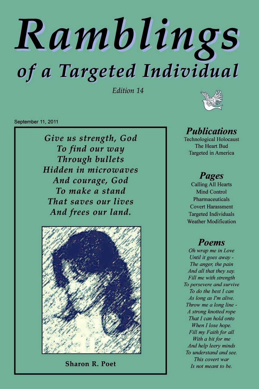 Ramblings of a Targeted Individual Books
