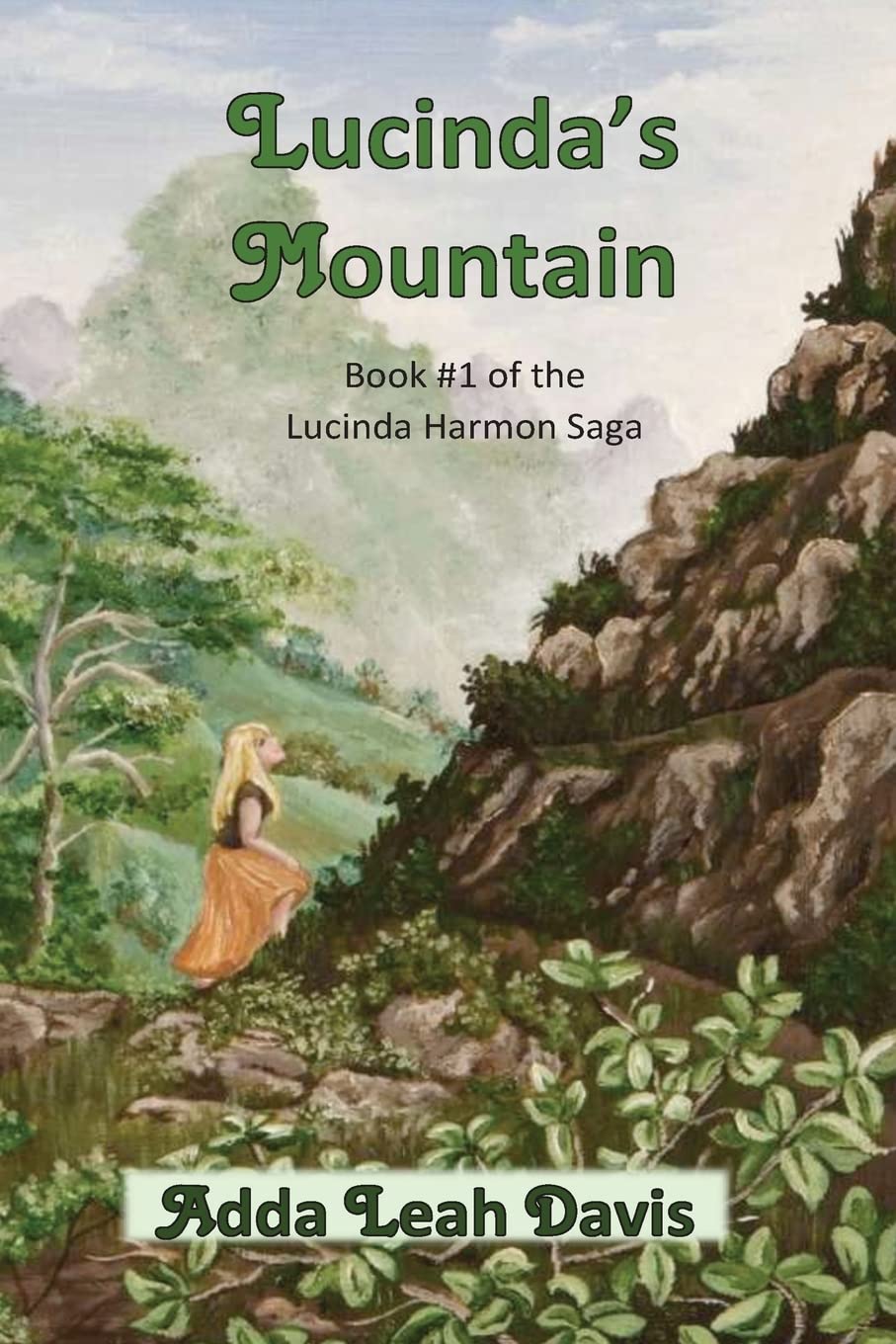 Lucinda's Mountain: Book #1 of the Lucinda Harmon Saga Contemporary literature