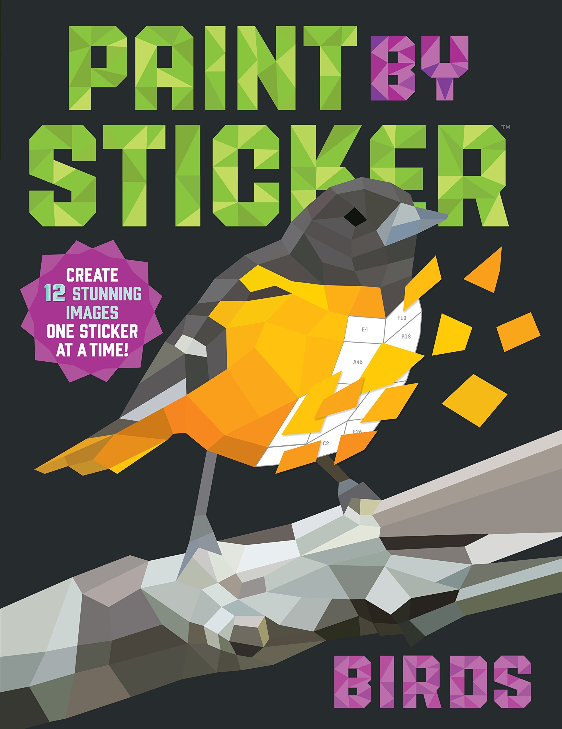 Paint By Sticker: Birds: Create 12 Stunning Images One Sticker at a Time! Mathematics