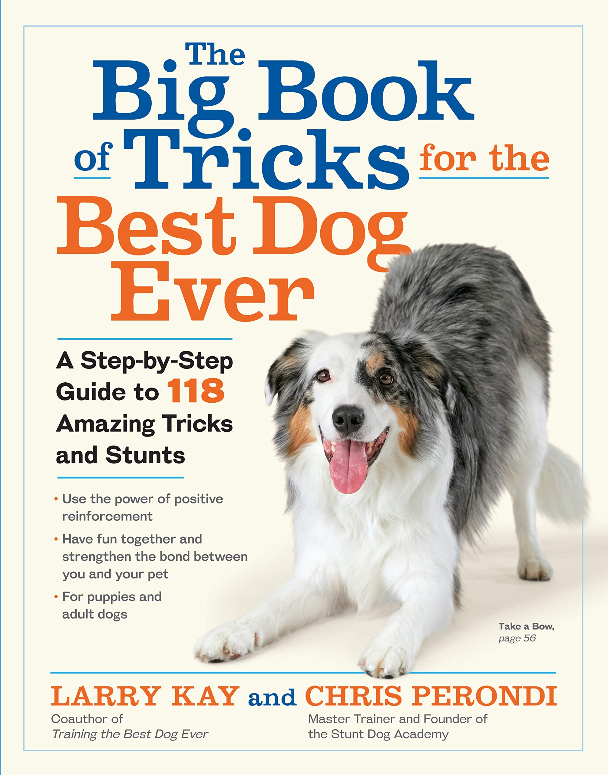 The Big Book of Tricks for the Best Dog Ever: A Step-By-Step Guide to 118 Amazing Tricks and Stunts: A Step-by-Step Guide to 118 Amazing Tricks & Stunts Pets