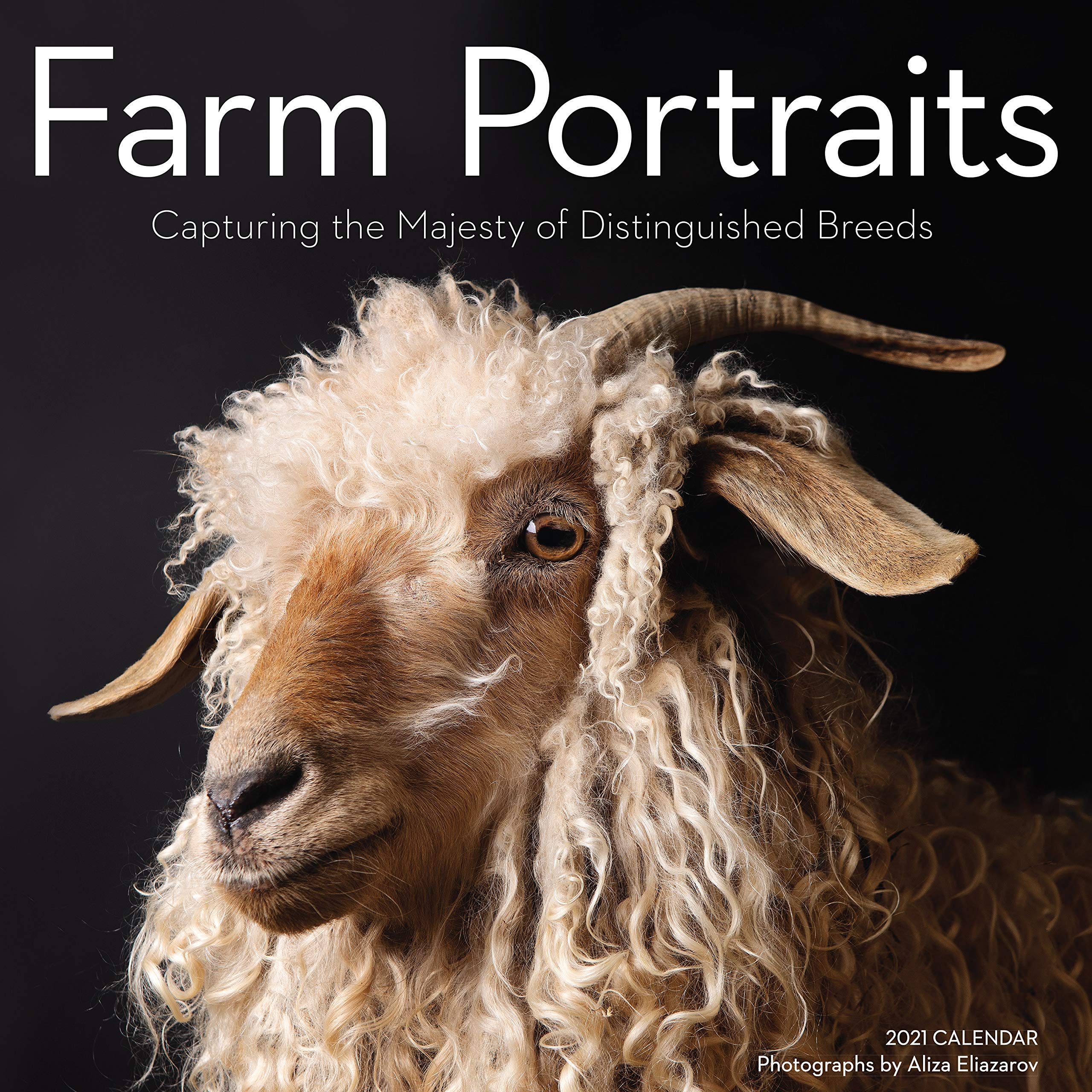Farm Portraits 2021 Calendar: Capturing the Majesty of Distinguished Breeds Mathematics