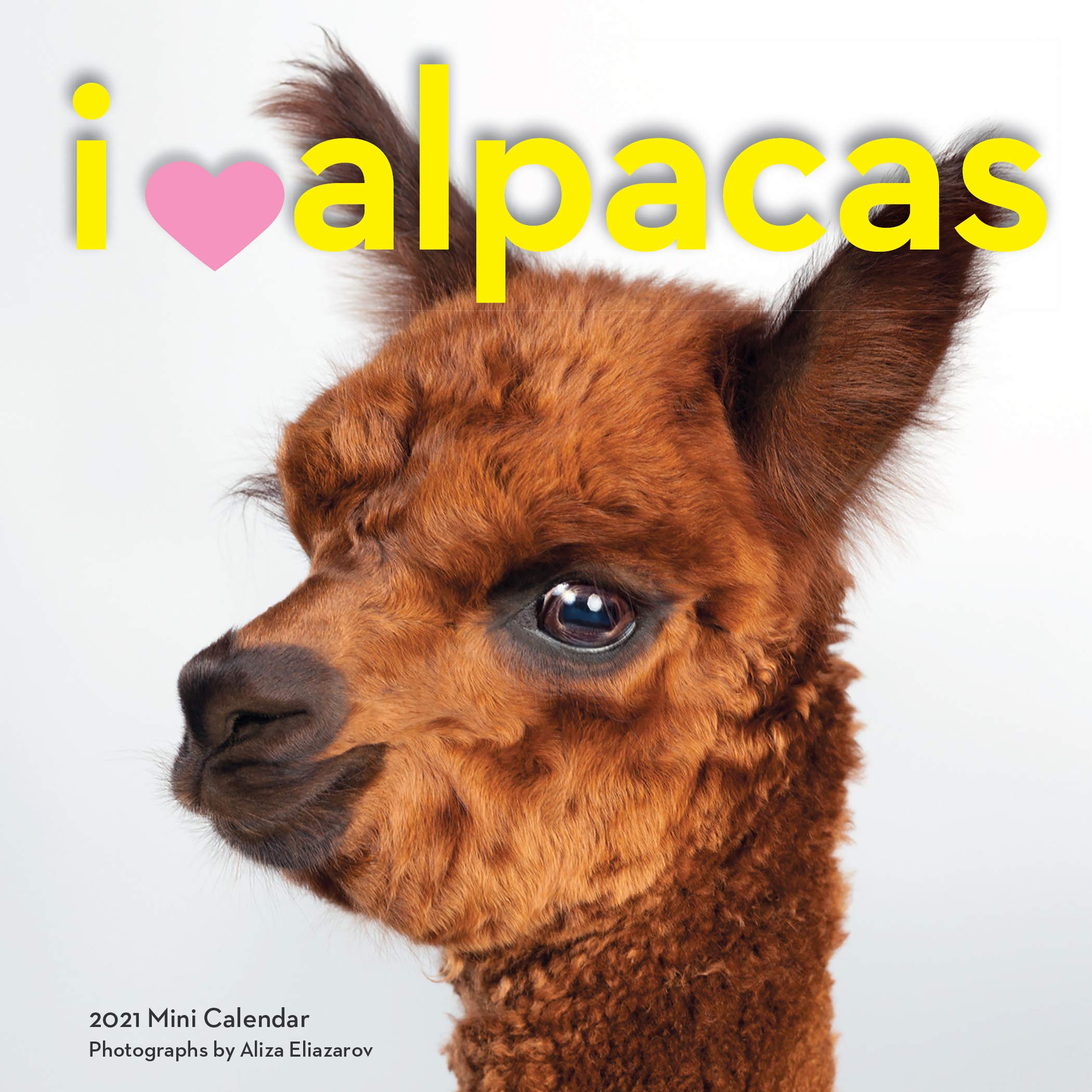 I Heart Alpacas 2021 Calendar Mathematics