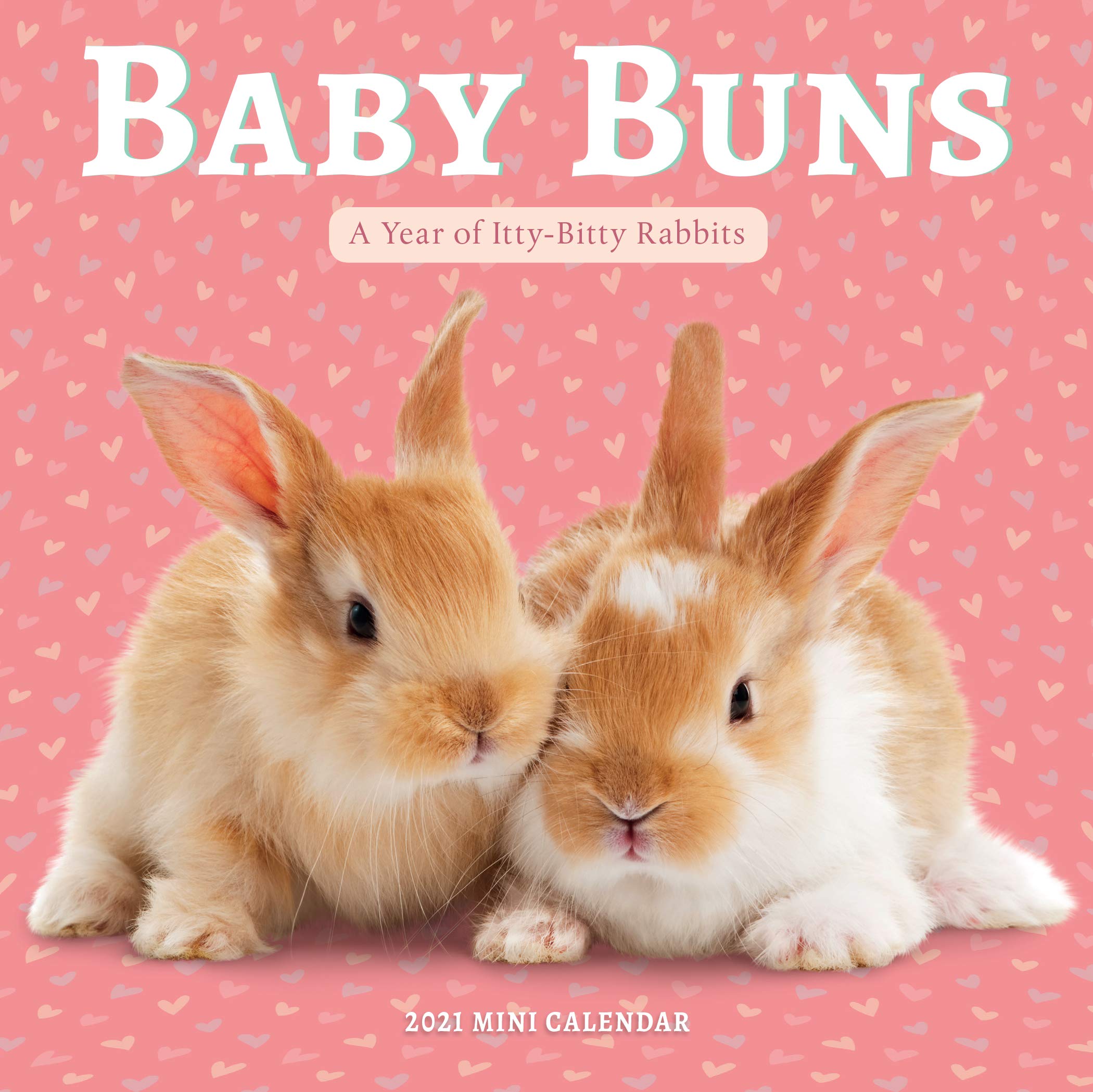 Baby Buns Mini Wall Calendar 2021: A Year of Itty-Bitty Rabbits Mathematics