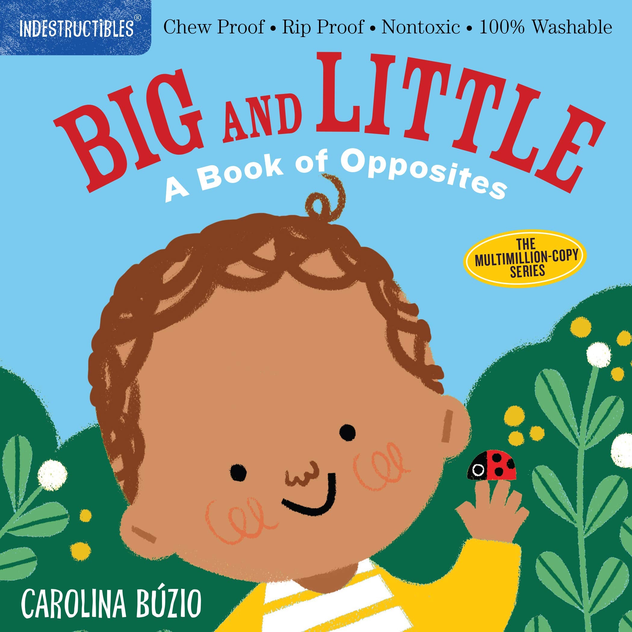 Indestructibles: Big and Little: Chew Proof · Rip Proof · Nontoxic · 100% Washable (Book for Babies, Newborn Books, Safe to Chew) Parents & Children