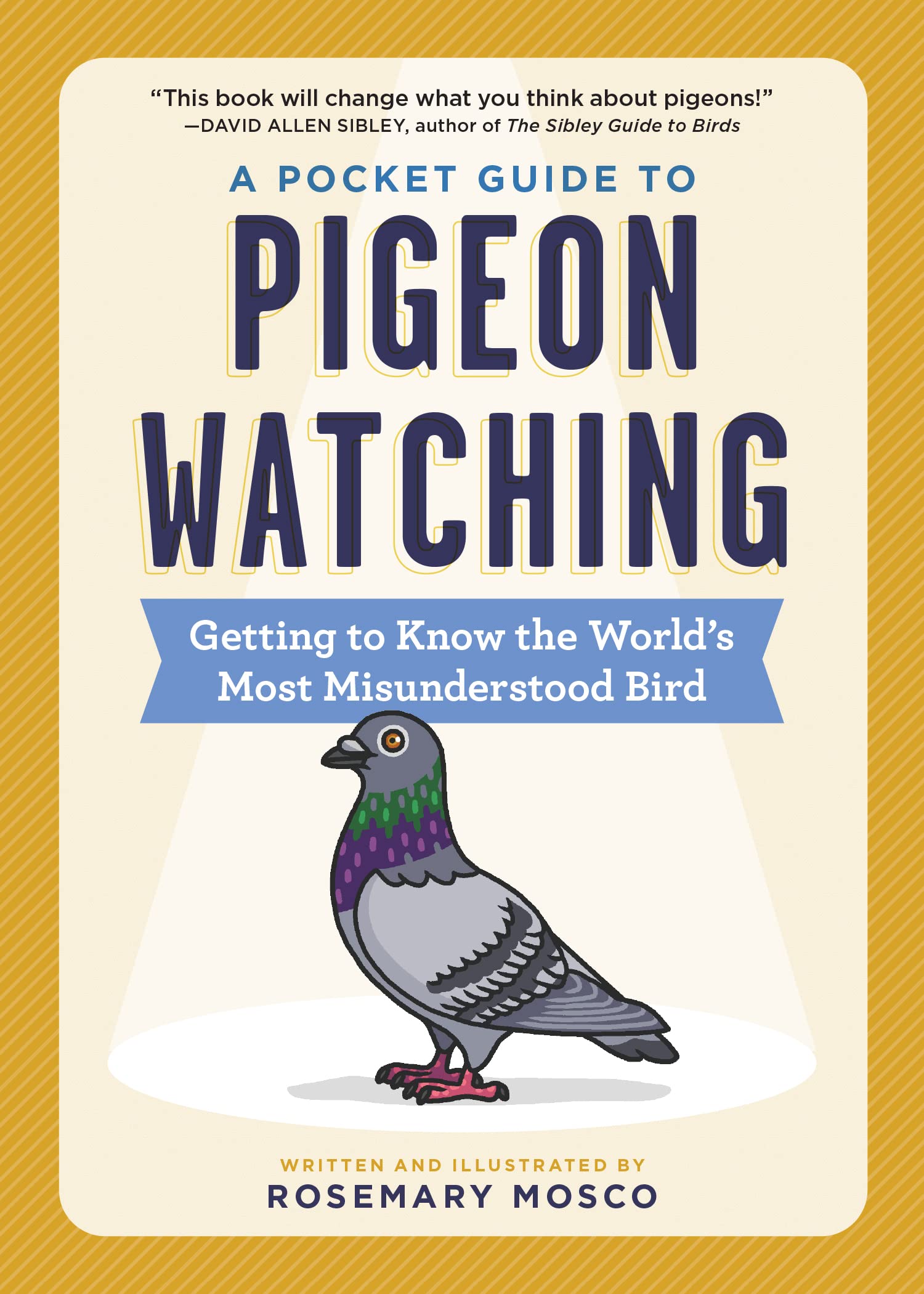A Pocket Guide to Pigeon Watching Mathematics