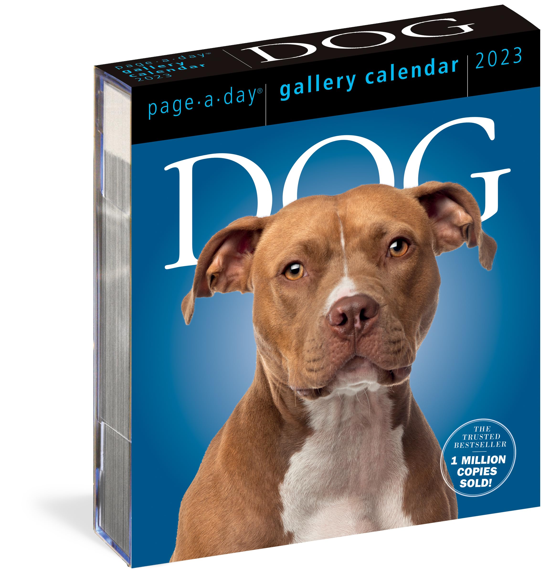Dog Page-A-Day Gallery Calendar 2023: An Elegant Canine Celebration Nature & Animals