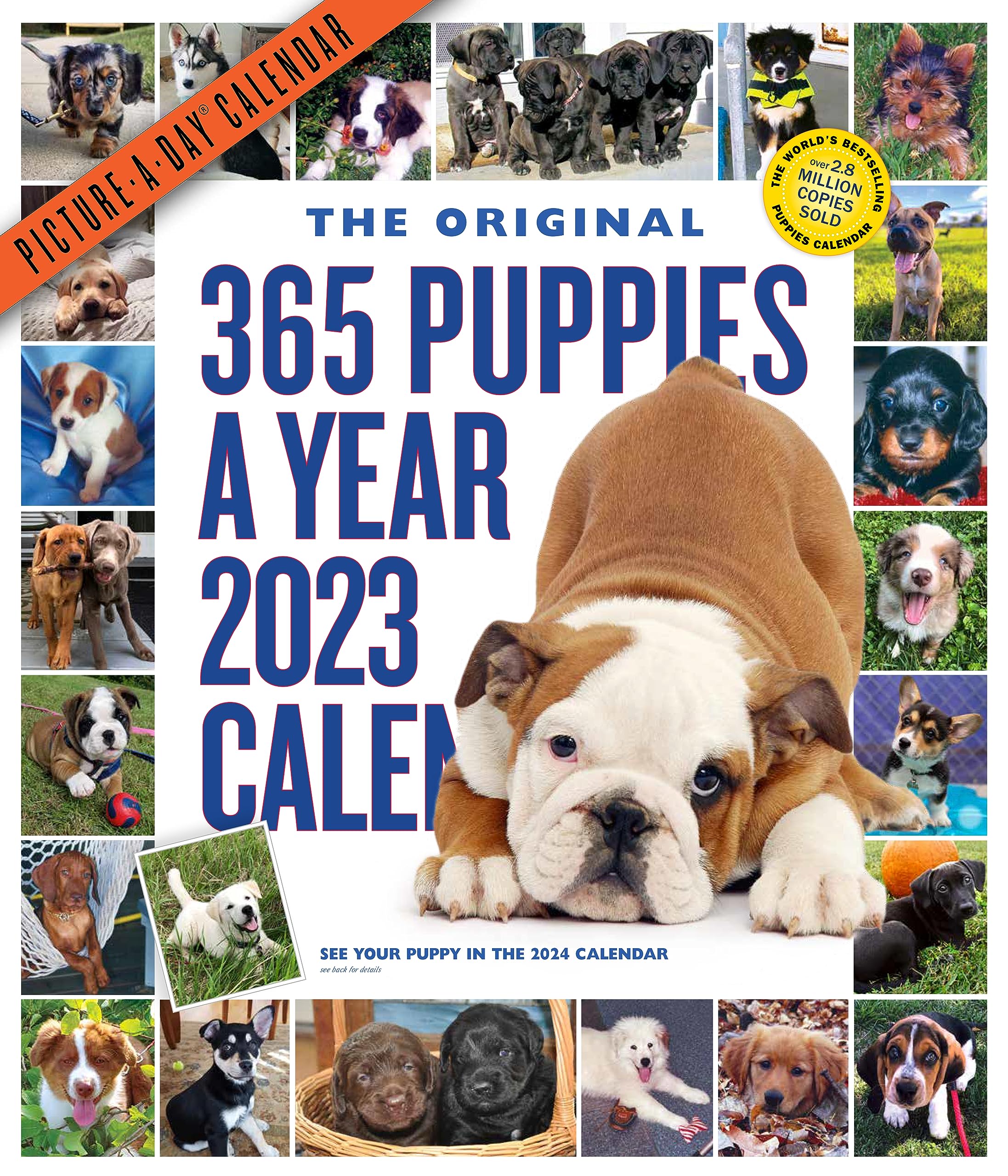 365 Puppies-A-Year Picture-A-Day Wall Calendar 2023: Absolutely Spilling Over With Puppies Pets