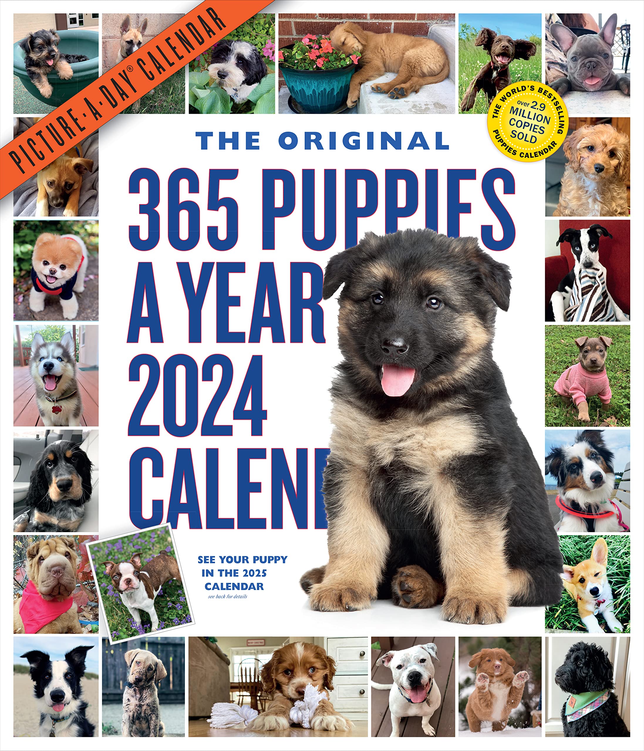 365 Puppies-A-Year Picture-A-Day Wall Calendar 2024: Absolutely Spilling Over With Puppies Photography