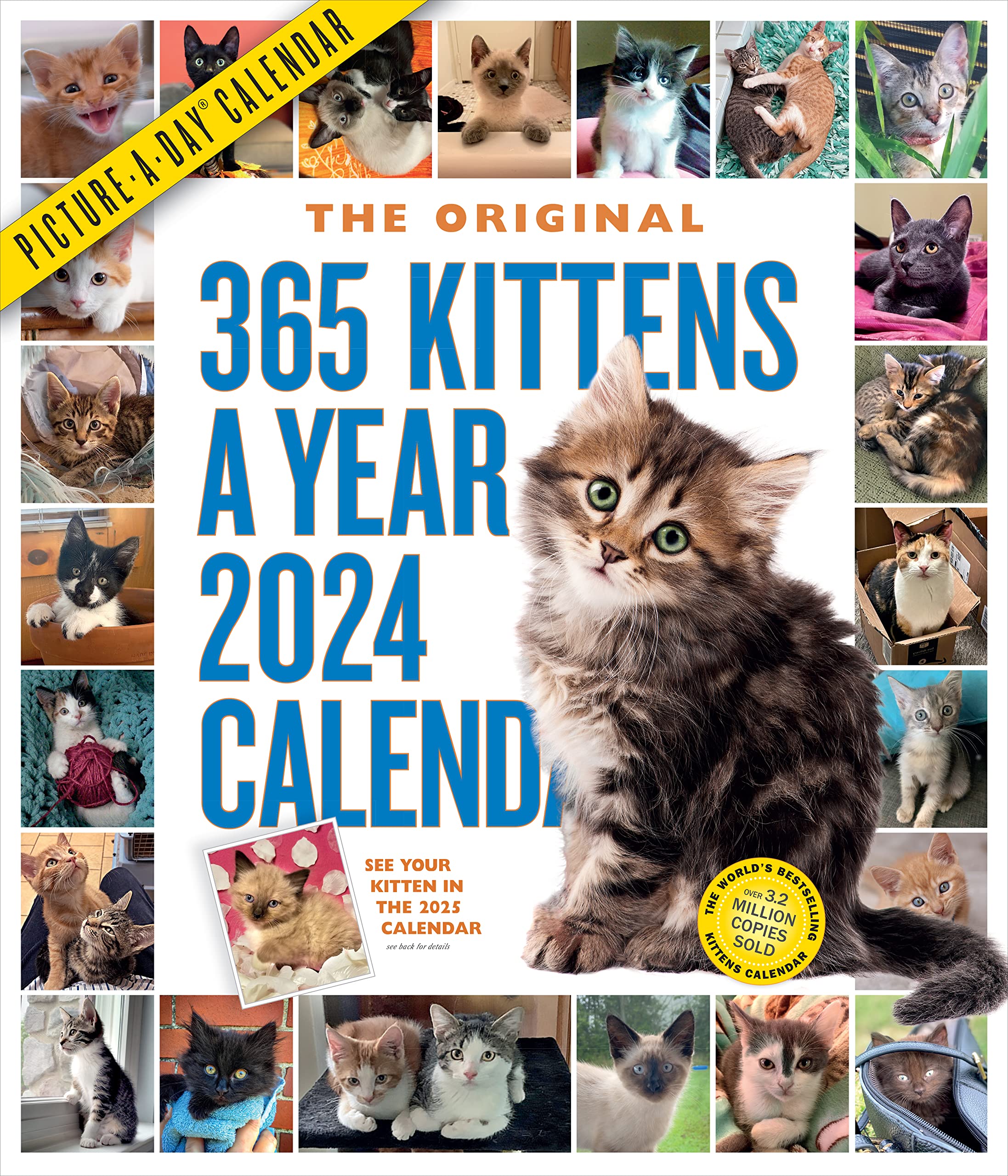 365 Kittens-A-Year Picture-A-Day Wall Calendar 2024: Absolutely Spilling Over With Kittens Photography