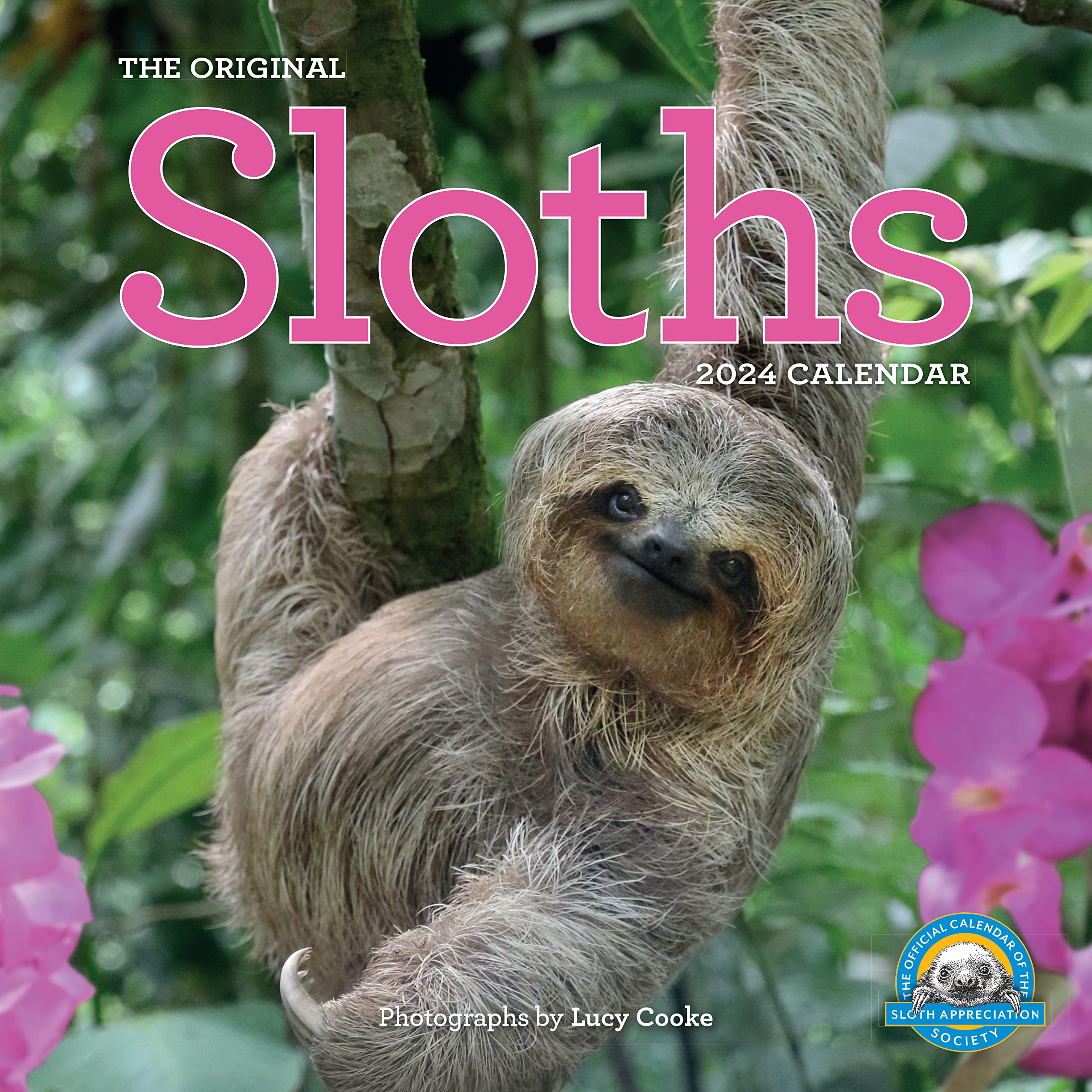 Original Sloths Wall Calendar 2024: The Ultimate Experts at Slowing Down Mathematics