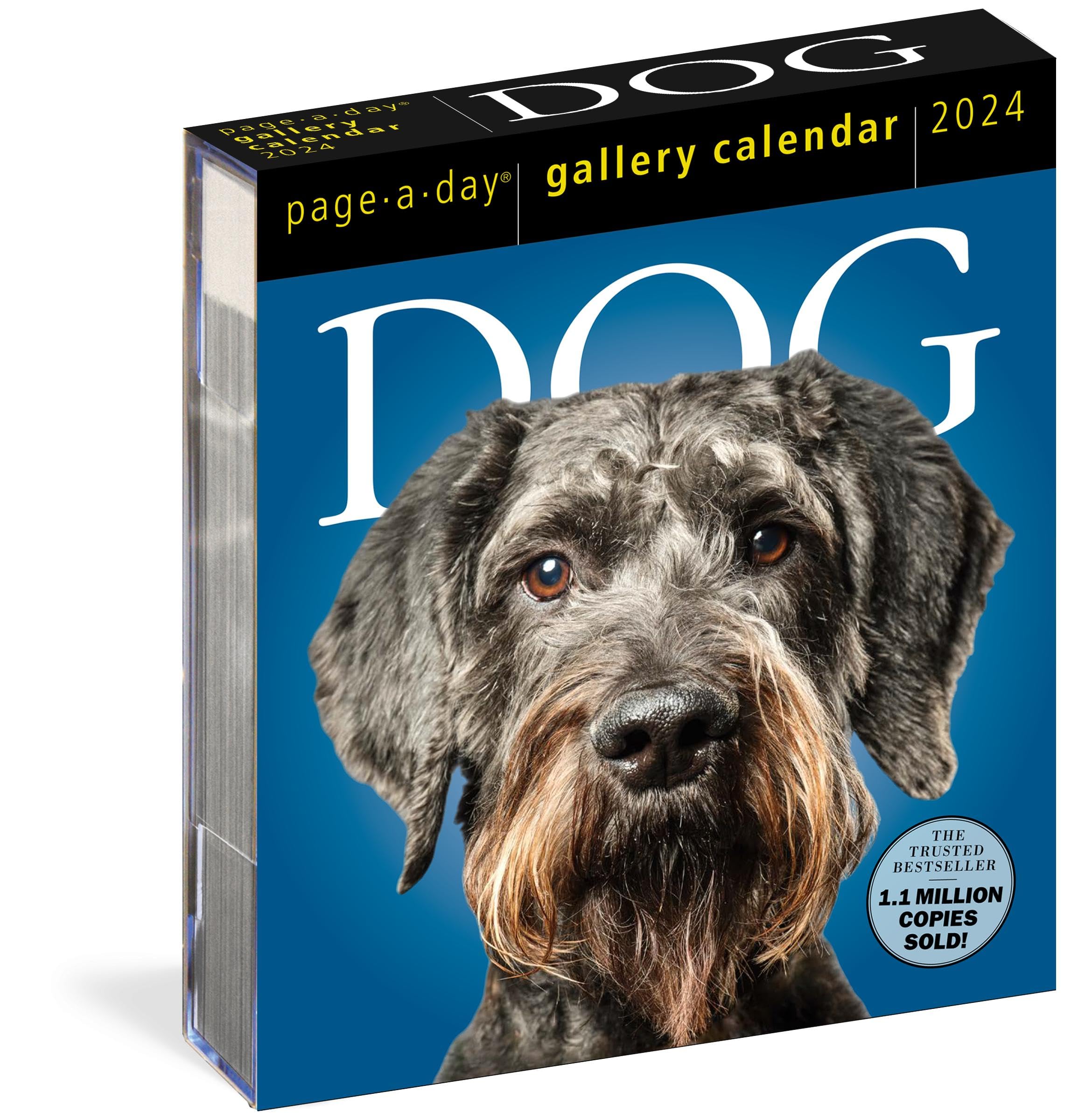 Dog Page-A-Day Gallery Calendar 2024: An Elegant Canine Celebration Photography
