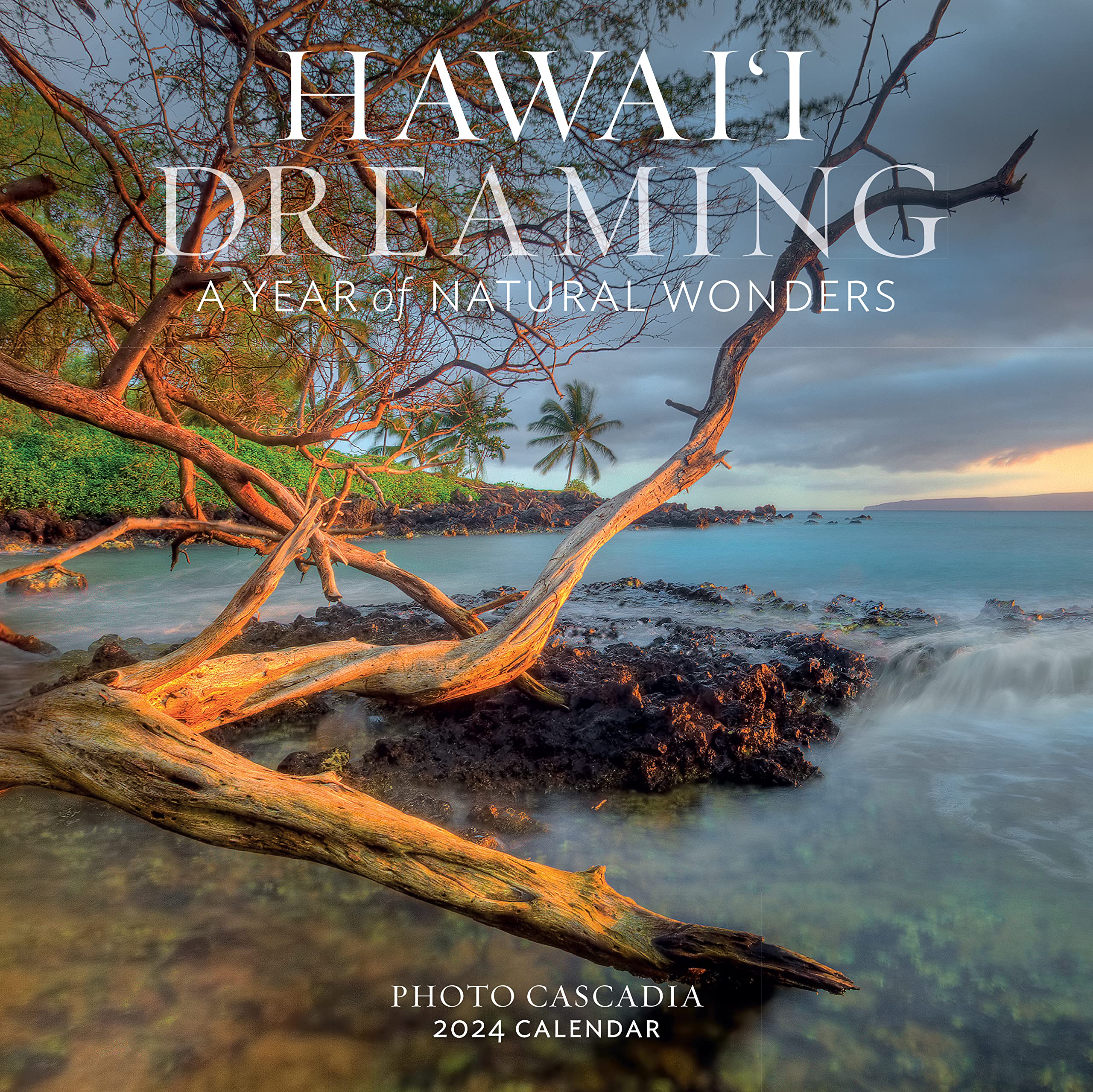 Hawai'i Dreaming Wall Calendar 2024: A Year of Natural Wonders Mathematics