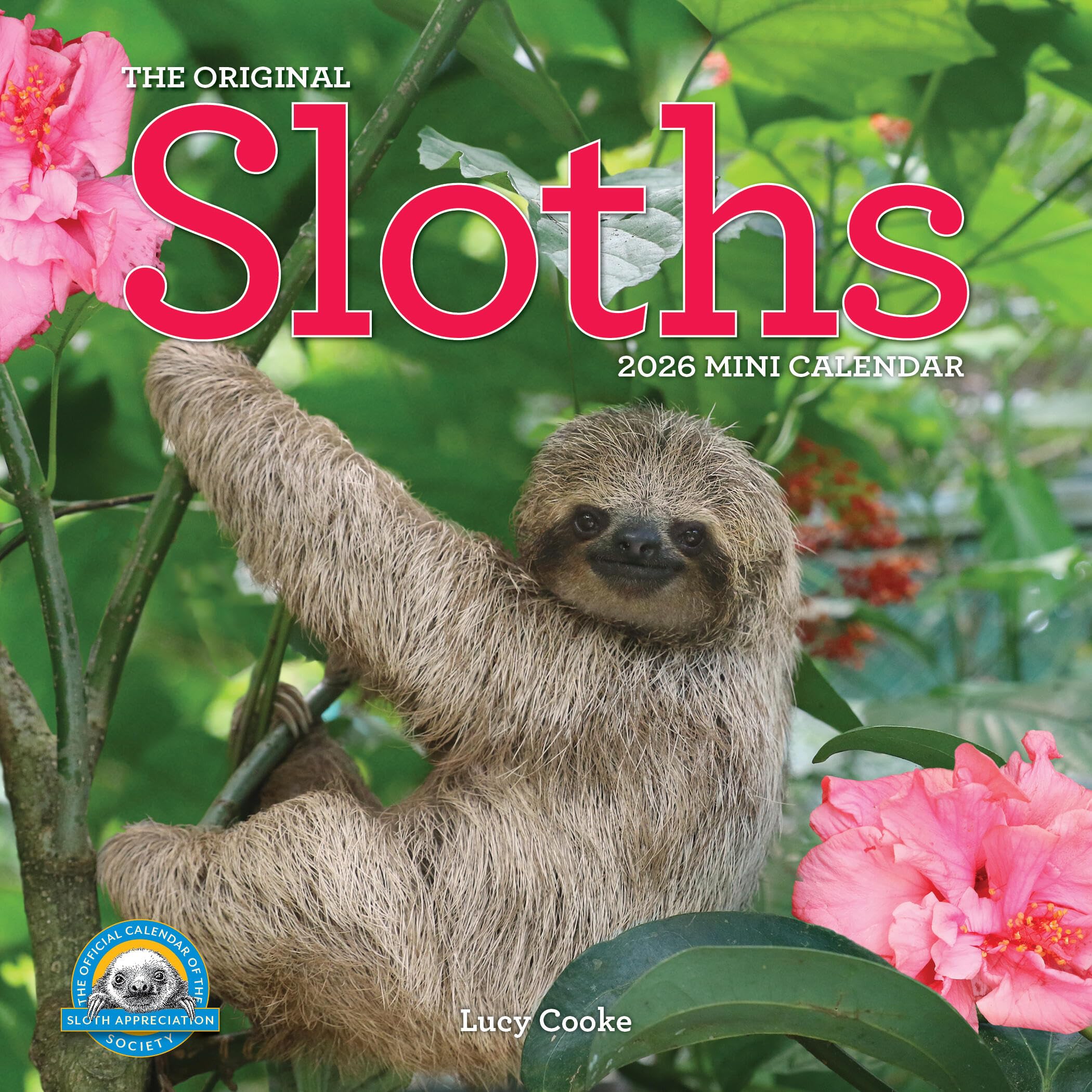 Original Sloths Mini Wall Calendar 2026: Celebrate Life in the Slow Lane Geology & Geography