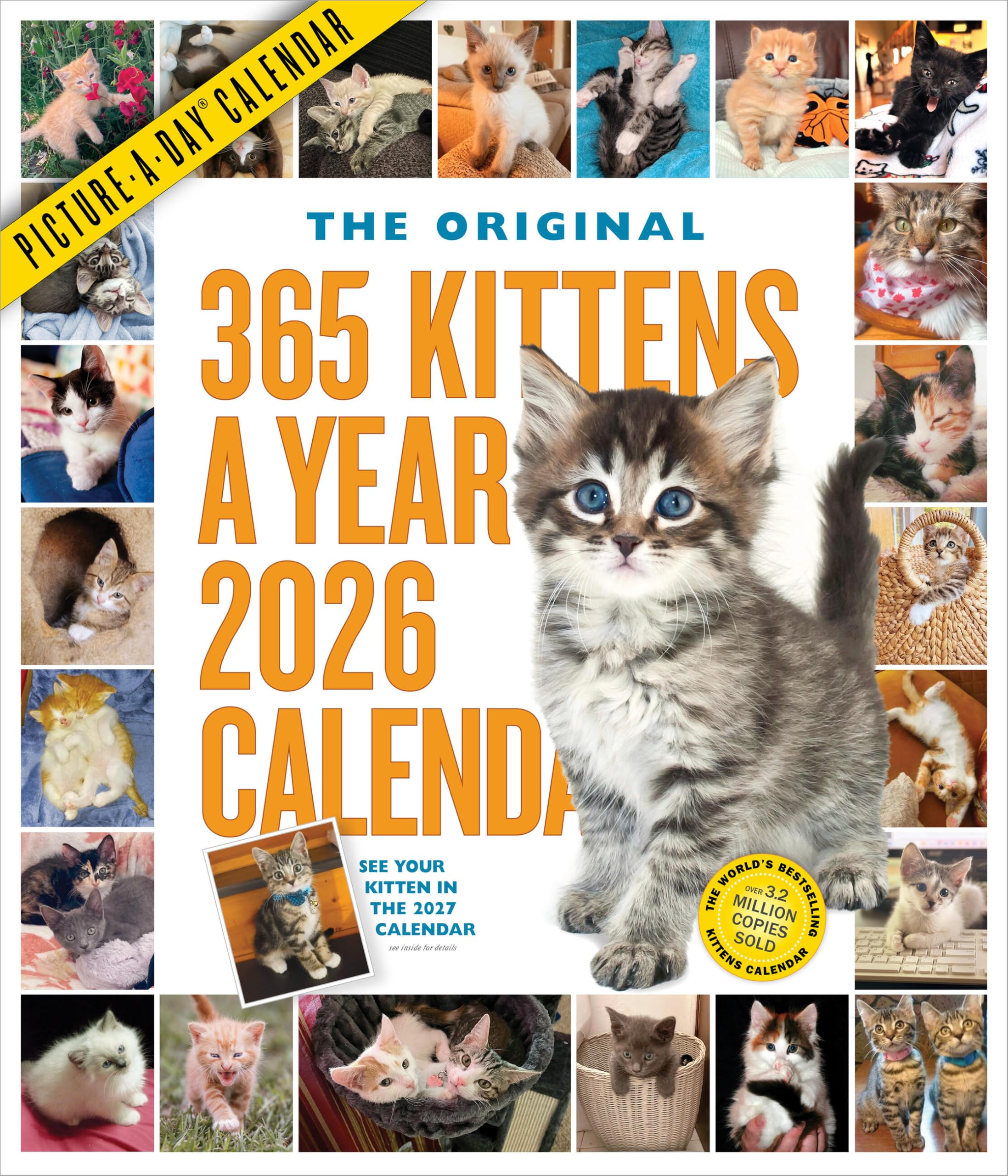 365 Kittens-A-Year Picture-A-Day® Wall Calendar 2026 Nature & Animals