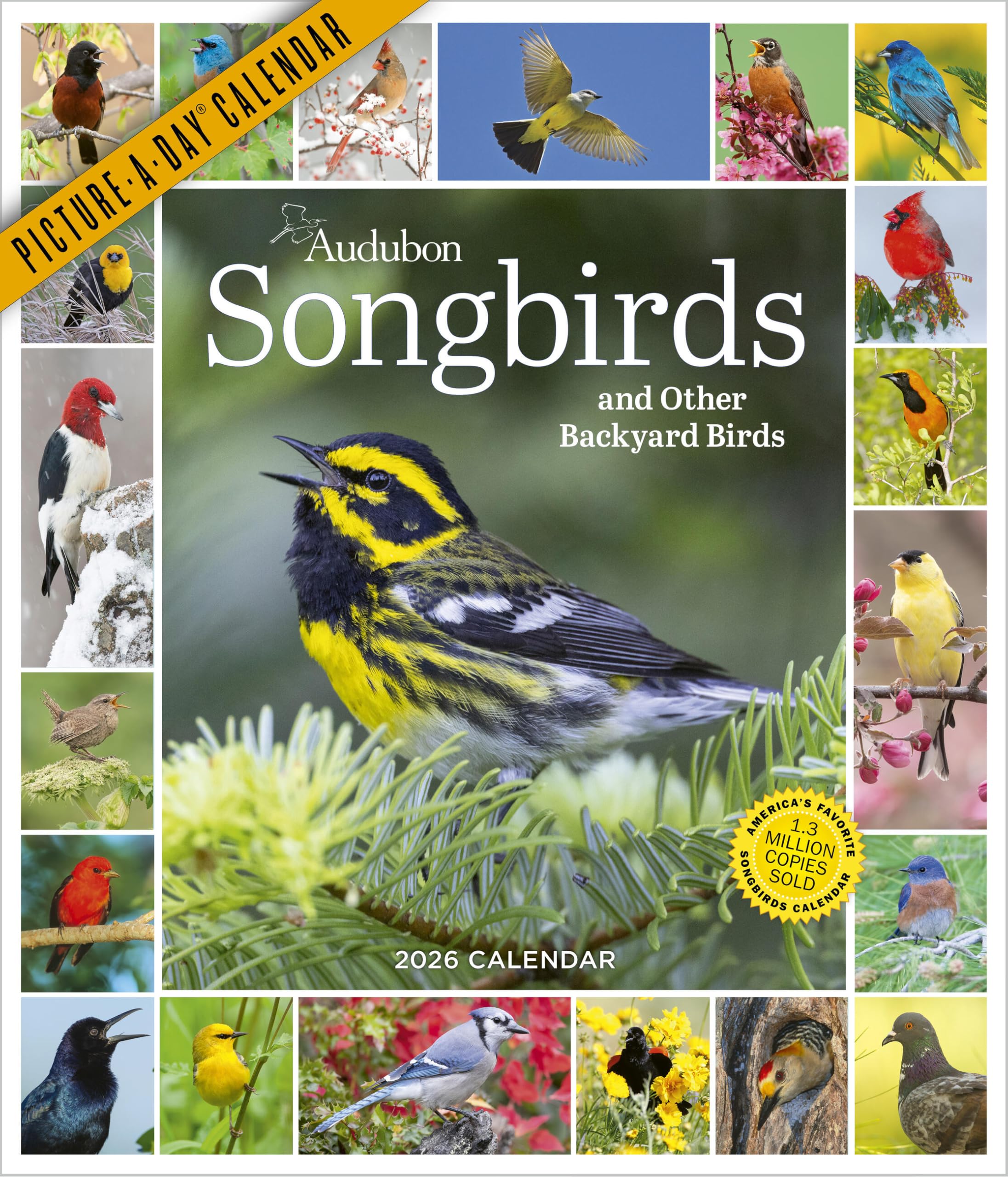 Audubon Songbirds And Other Backyard Birds Picture-A-Day® Wall Calendar 2026 Mathematics