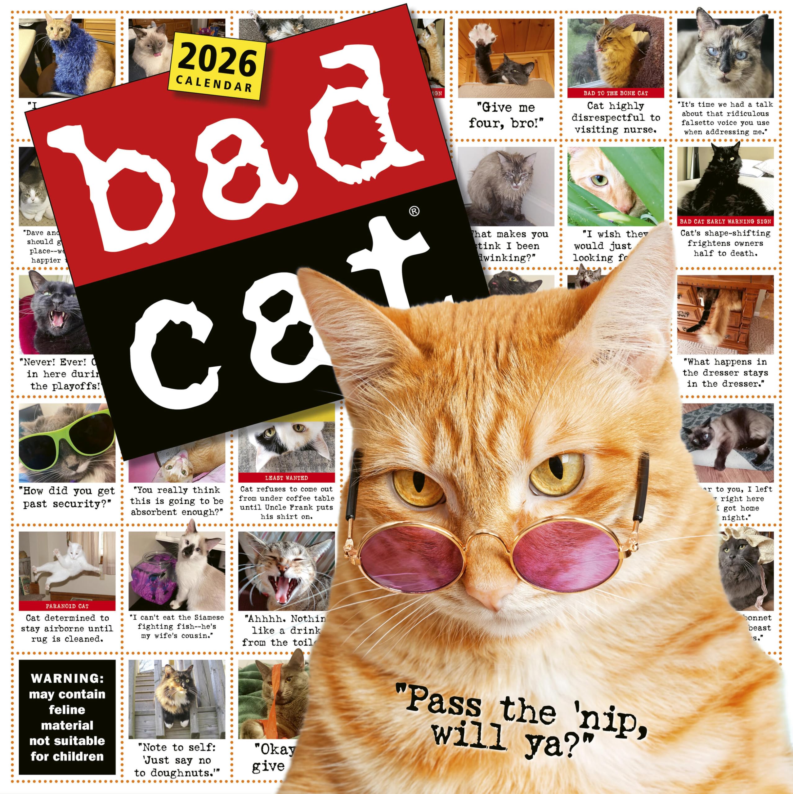 Bad Cat Wall Calendar 2026: Celebrating the Misfits of the Feline World Pets