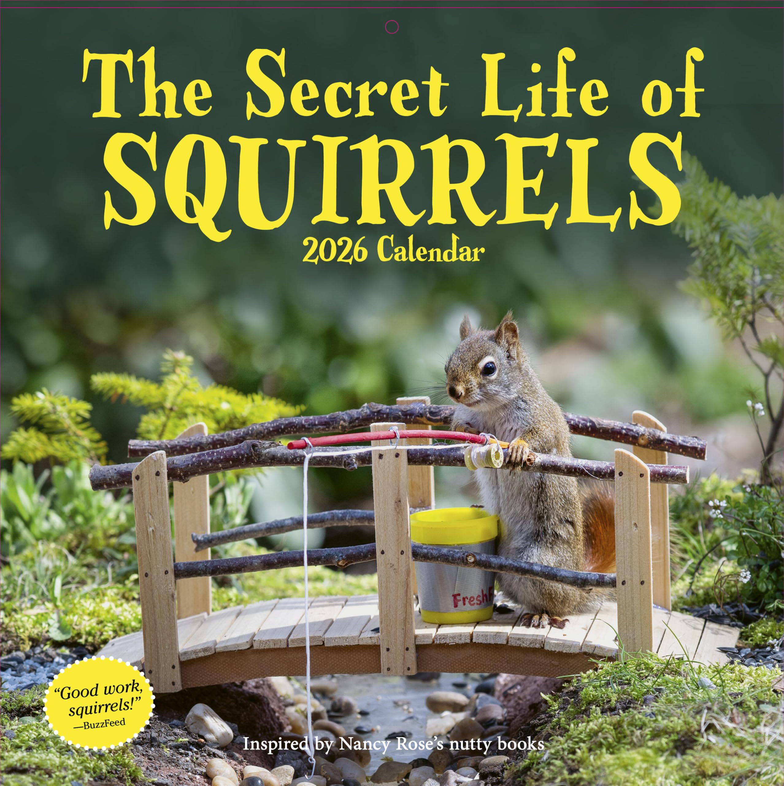 Secret Life of Squirrels Wall Calendar 2026 Mathematics