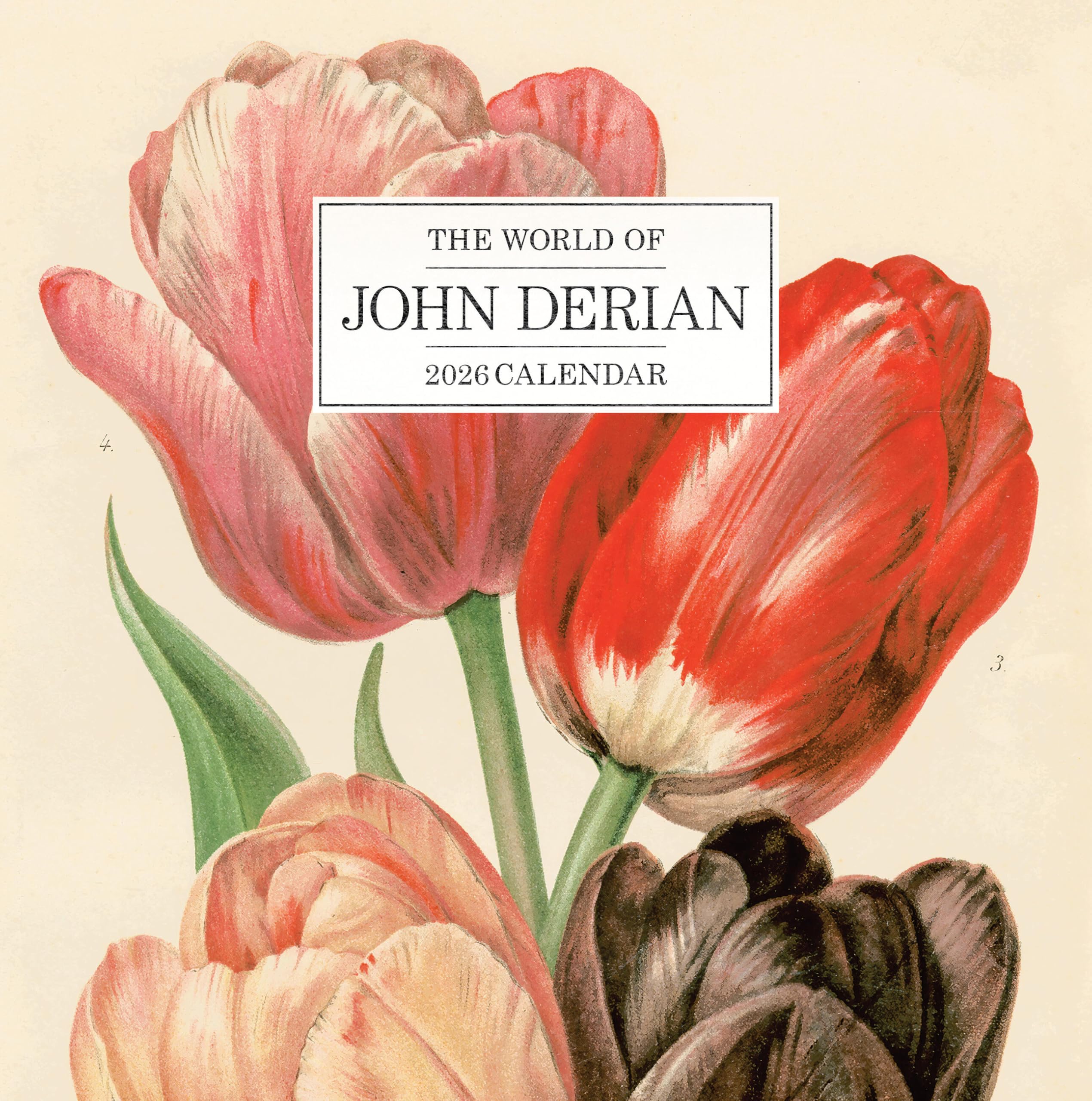 World of John Derian Wall Calendar 2026 Film, Art & Culture
