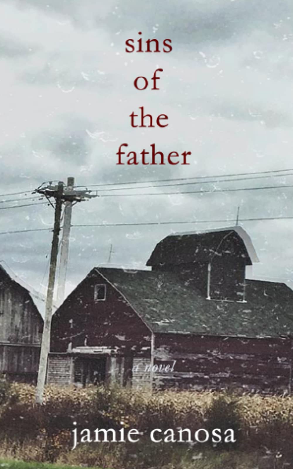Sins of the Father Contemporary literature