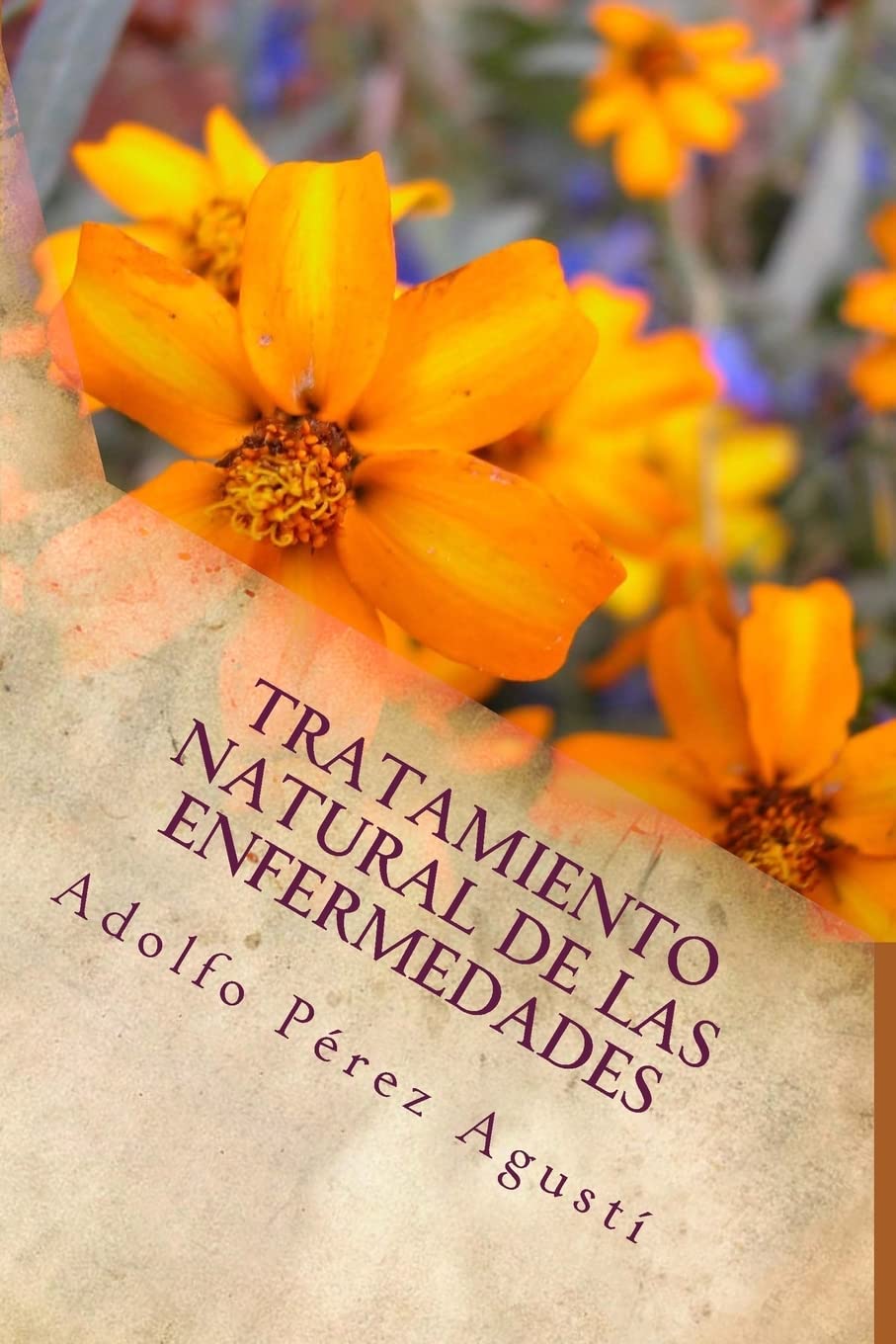Tratamiento natural de las enfermedades: Tercera edición Medicine