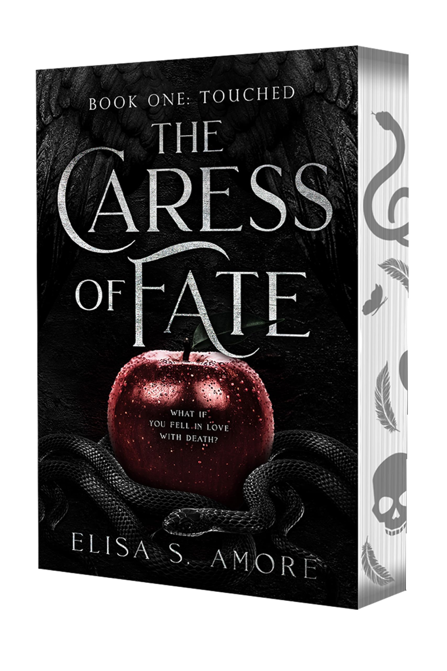 Touched - The Caress of Fate (Touched Saga, Band 1) Romance