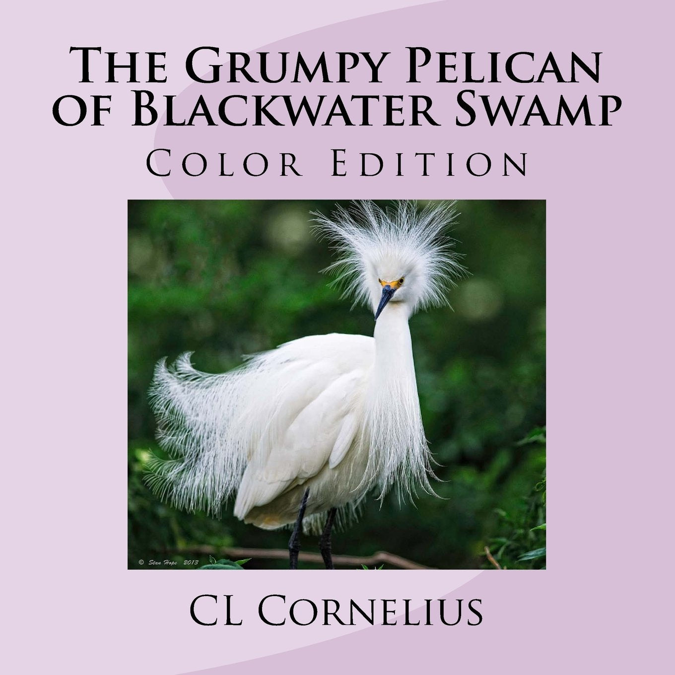 The Grumpy Pelican of Blackwater Swamp: Color Edition (Birdy Thirty, Band 1) Fairy Tales & Legends