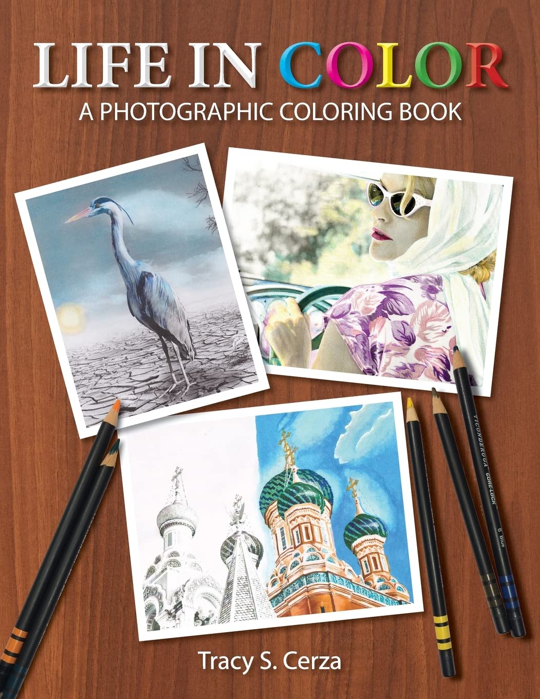 Life In Color: A Photographic Coloring Book Hobbies & Crafts