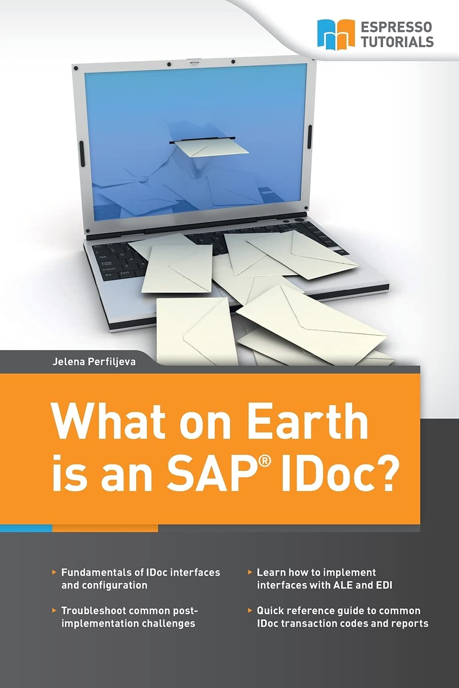 What on Earth is an SAP IDoc? book